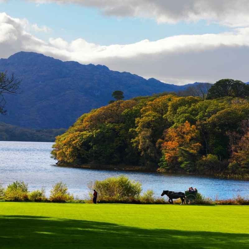 County Kerry - Killarney National Park