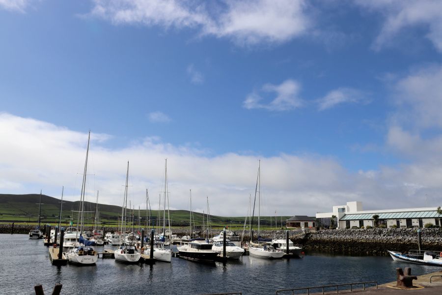 dinglebay