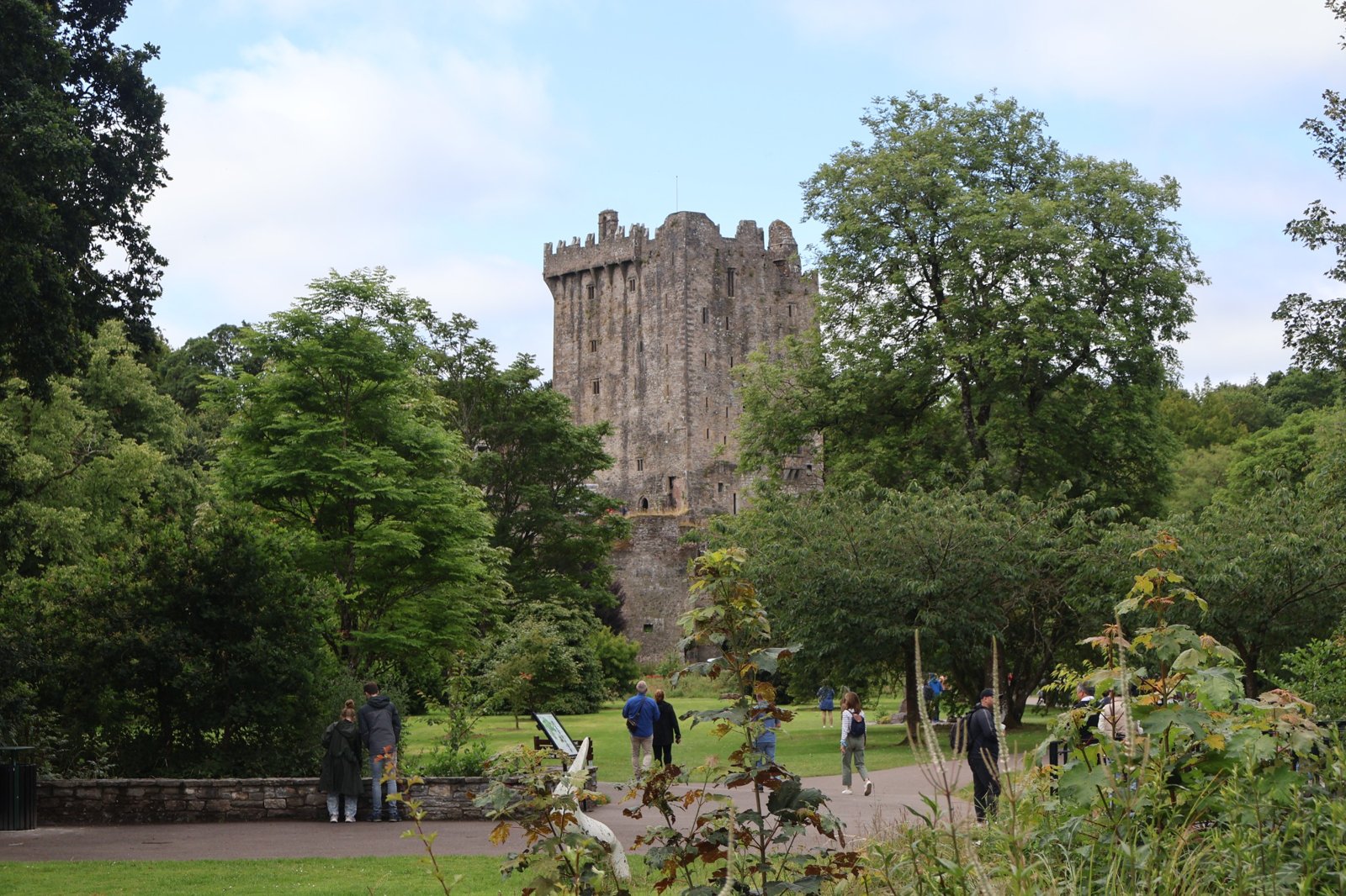 Small Group Irish Cultural Experience for All Ages